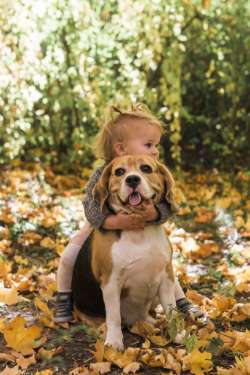 pet photography auckland 01